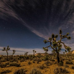 Praise You: A Joshua Tree Tribute Mix by Heidi Lawden