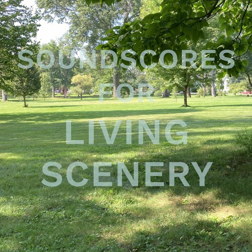 Soundscores for Living Scenery: Childs Park, 42°19'41.3"N 72°38'54.3"W