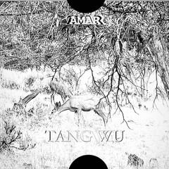 Amar - Tang Wu (Prod. Amar Of Yonkers)