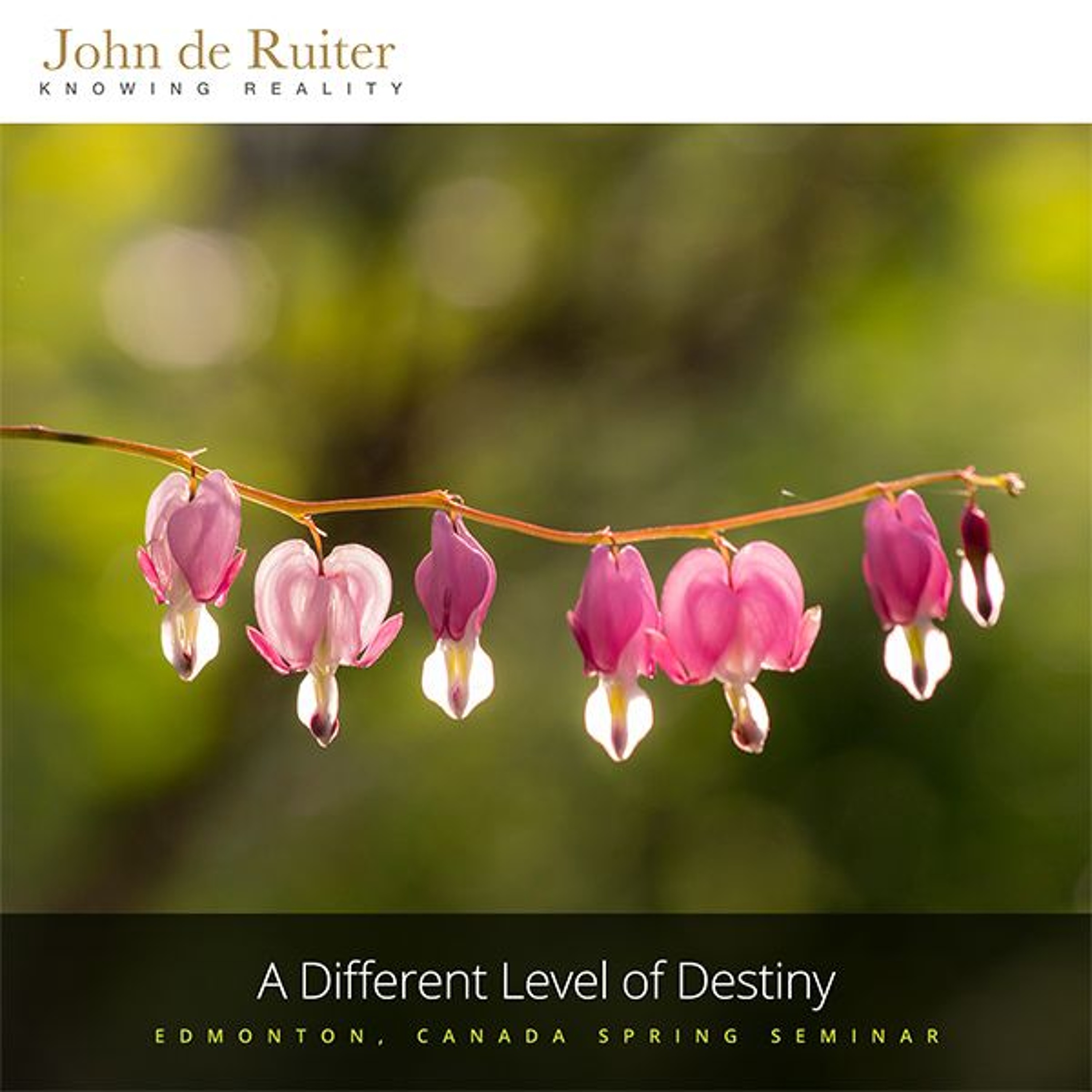 233 - A Different Level of Destiny - 2 of 3 episode artwork