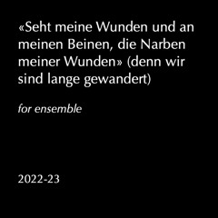 «Seht meine Wunden und an meinen Beinen, die Narben meiner Wunden» (denn wir sind lange gewandert)