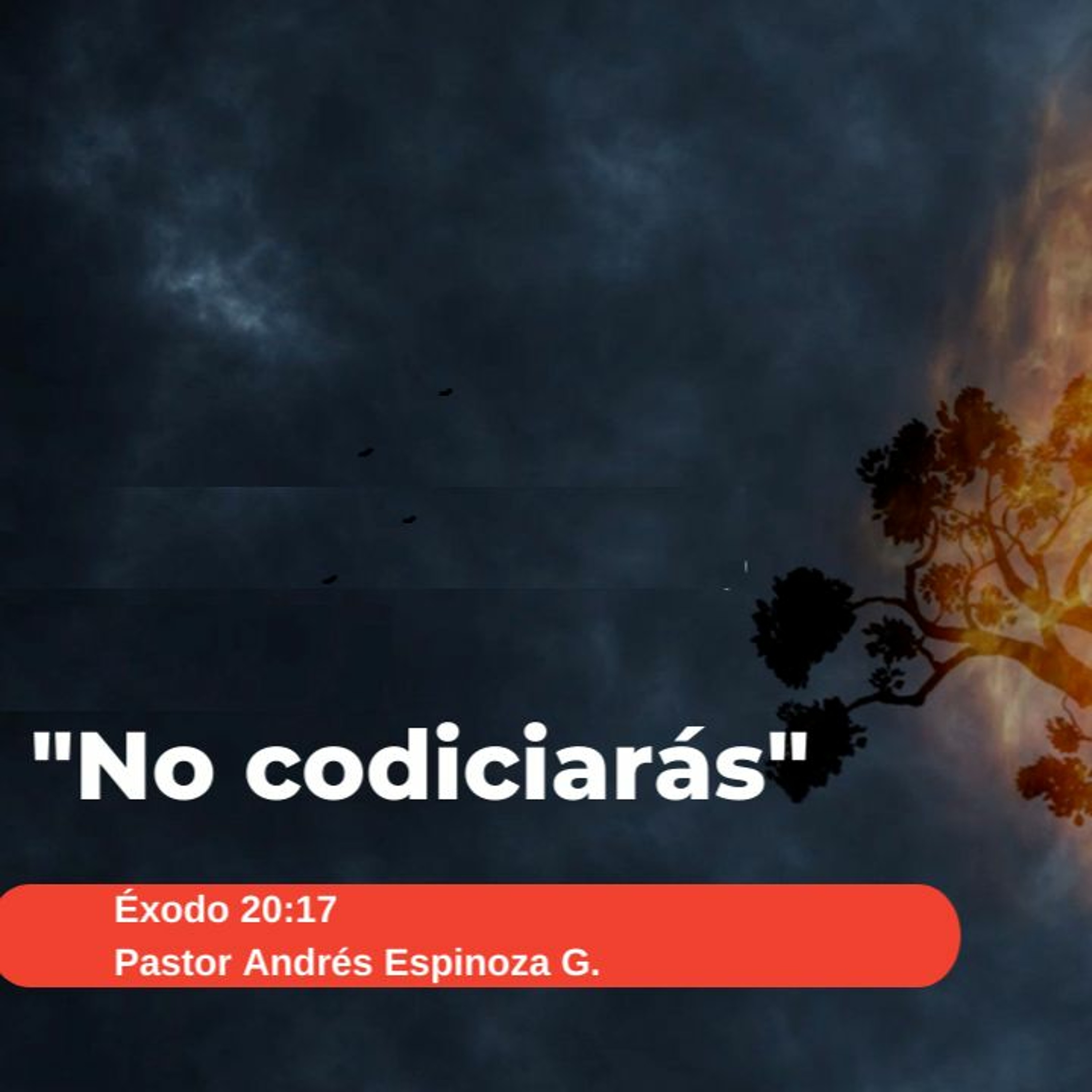 No codiciarás (English version) episode artwork