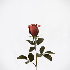 The Engineer's Potpourri