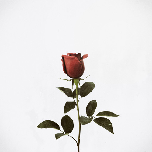 The Engineer's Potpourri