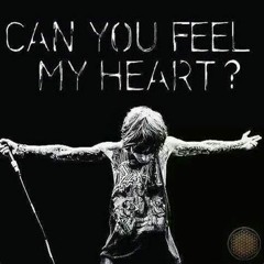 Can you feel my heart- schranz remix