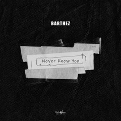 Barthez - Never Knew You (Extended Mix) (OUT NOW)
