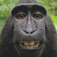 New Rap Songs 2025Mix OCTOBER Trap Tape  | New Hip Hop 2025 Mixtape |DJ BRIGHT