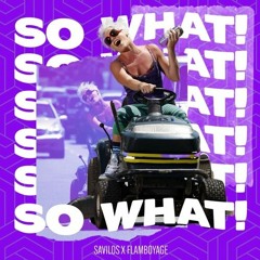 P!nk - So What (Savilos & Flamboyage Remix)