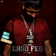 Caso Feo