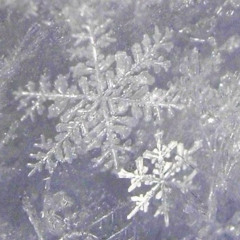 fragilehearts - frozen dreams (demo)