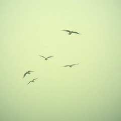 I still fly above the bullshit