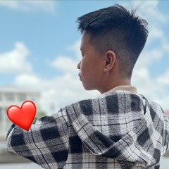 Biệt tri kỉ remix - Lời Việt