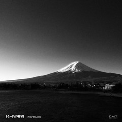 DMTC482 - K - Nari - Fortitude Lp (Preview Mix)