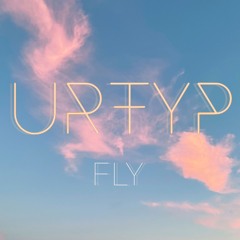 Fly