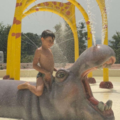 l'hippopotame de mer