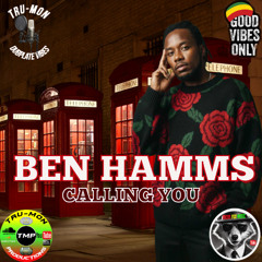 BEN HAMMS - Calling You / TruMon Dubplate