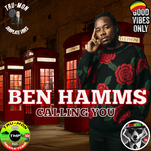 BEN HAMMS - Calling You / TruMon Dubplate