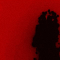 niko - hole in my pocket