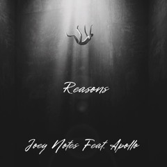 Reasons by Joey Notes Feat. Apollo