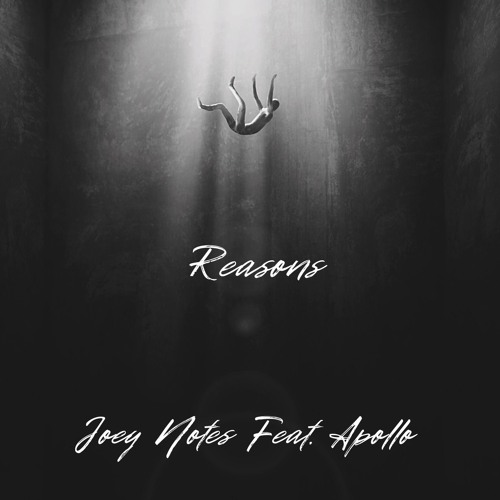 Reasons by Joey Notes Feat. Apollo