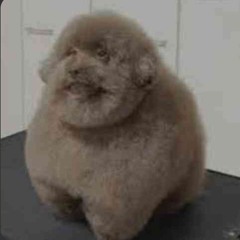 (VERY SLOWED) Baixo - xxanteria