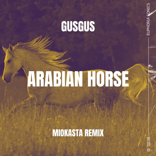 GusGus - Arabian Horse (Miokasta Remix)