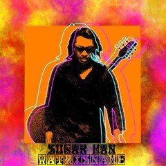 Sugar Man