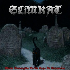 RIP BROWN VIYA ALI 11 AM BROKEBOI