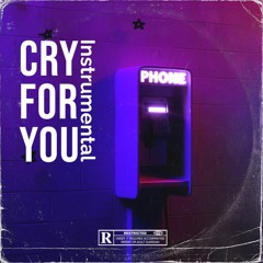 Soul / R&B Sampled Instrumentals