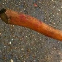 Sandin - tropa do p* duraço ( prod. EREN )