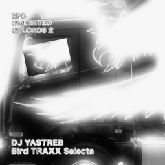 DJ YASTREB - Bird TRAXX Selecta