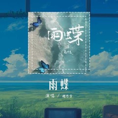 赵乃吉 - 雨蝶「我向你飞 多远都不累」【動態歌詞/Lyrics Video】#赵乃吉 #雨蝶 #動態歌詞