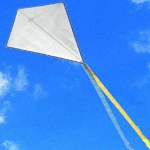 Kites with Richie Henderson