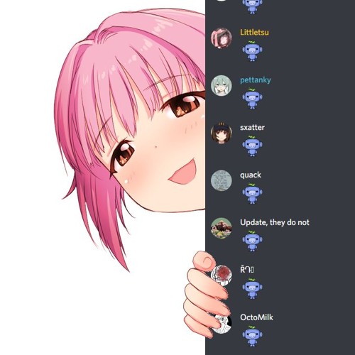 pipo pipo