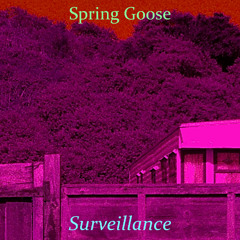 Surveillance - FREE DOWNLOAD AVAILABLE FOR LIMITED TIME!