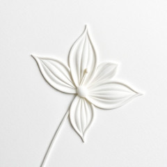 Cameron Cook presents: For Jay