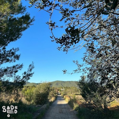 Open Sesame 036 - Sadeedo