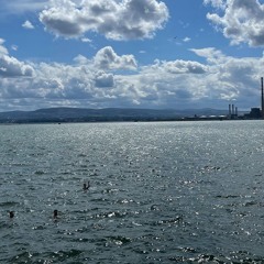 The Slip 120824