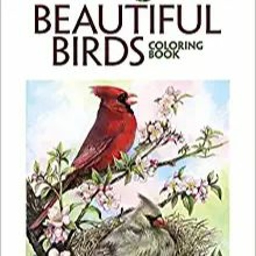 [Ebook]^^ Adult Coloring Beautiful Birds Coloring Book (Creative Haven Coloring Books) ^DOWNLOAD E.B