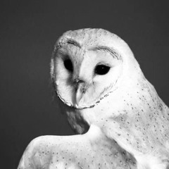 не колю в себя шприцы