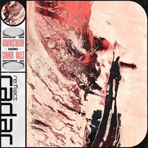 re:flect radar 28: ADMINISTRATOR B2B Connor Wall