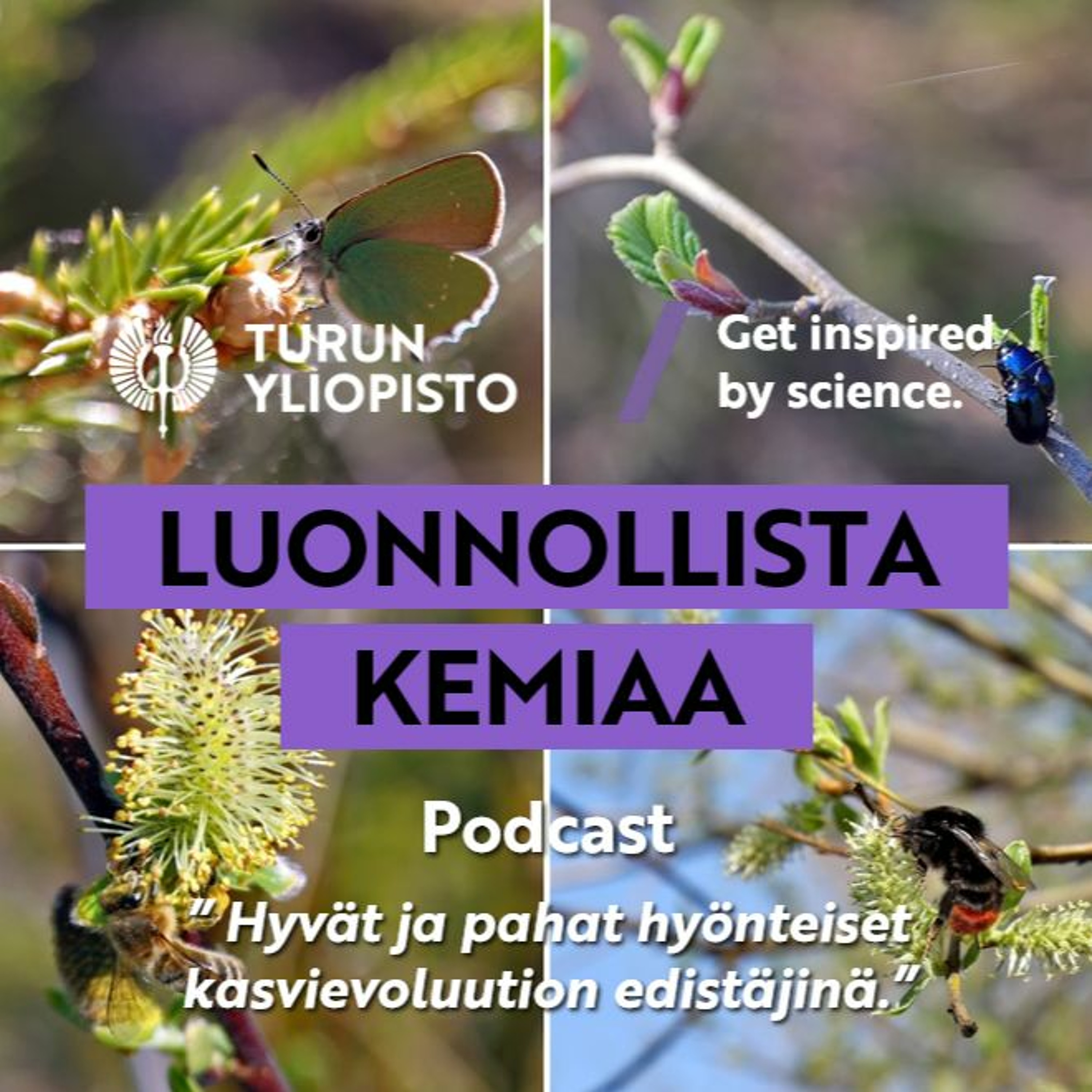 Luonnollista kemiaa: Hyvät ja pahat hyönteiset kasvievoluution edistäjinä episode artwork