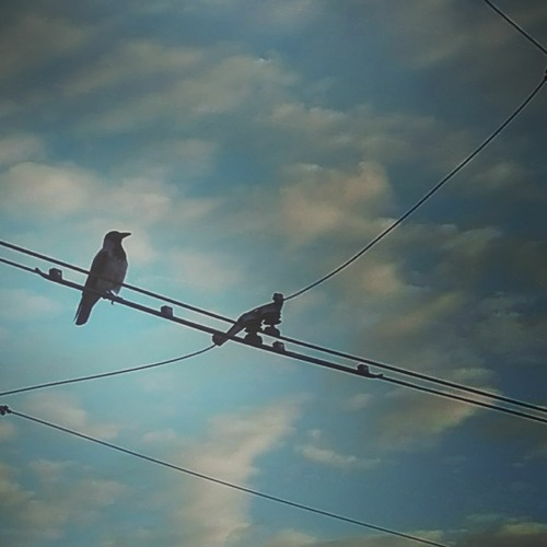 Poltergeist - She Attached My Soul