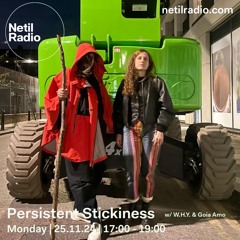 Persistent Stickiness w/ W.H.Y. & Goia Amo - 25th November 2024