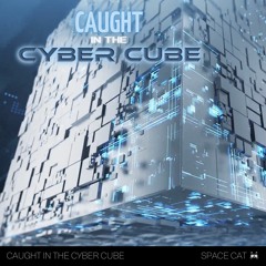 Caught in the Cyber Cube