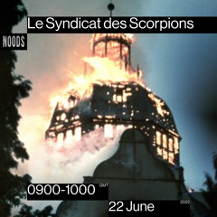 Le Syndicat Des Scorpions on Noods Radio - 22/06/2022