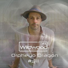 #311 - Orpheyo Dragon - (AUS)