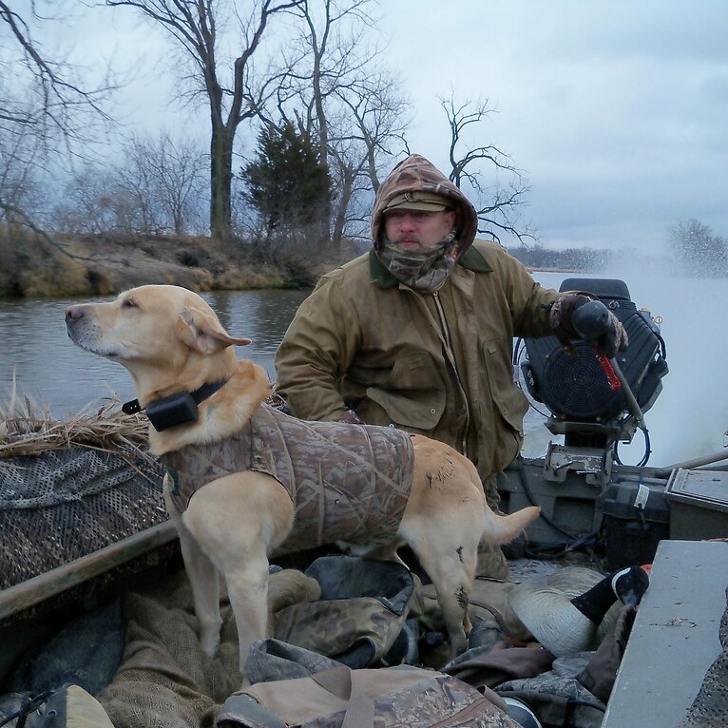 The Fowl Life