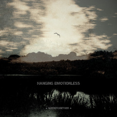 2025, A Strange Odyssey