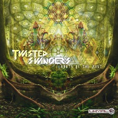Twisted Swingers - Symetrick Cowboy (Extended Mix)